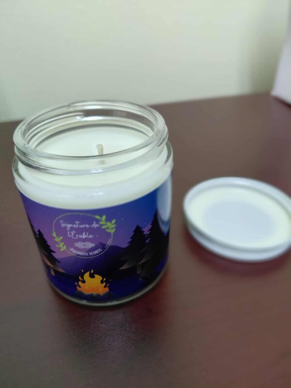 Chandelle de soya faite à la main senteur sapin des forêts