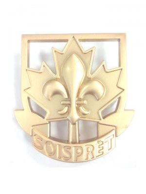 Épinglette Insigne de promesse OR