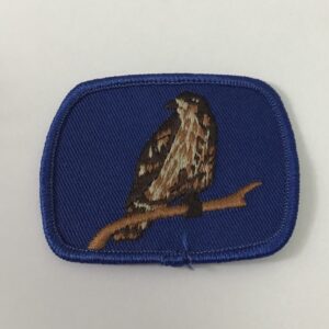 Badge FAUCON SUR BRANCHE gros