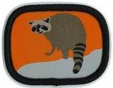 Badge raton laveur petit