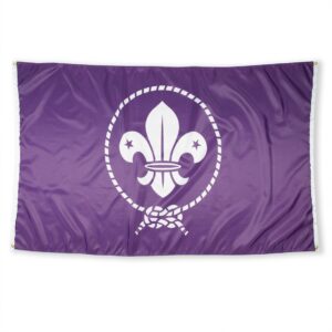 Drapeau scout mondial (OMMS)