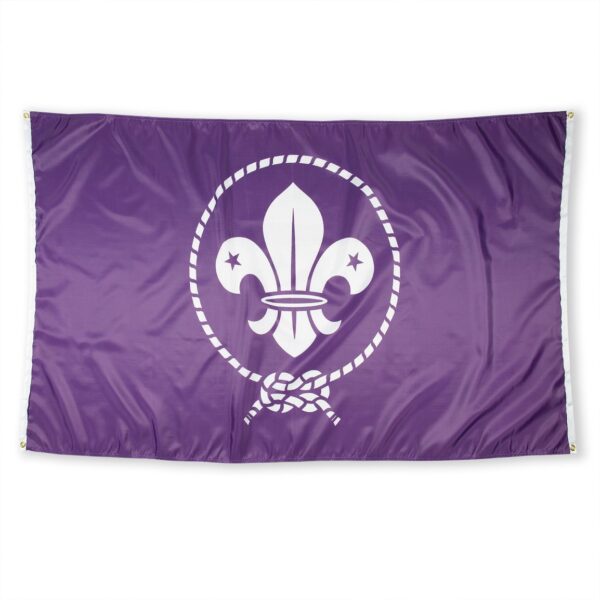 Drapeau scout mondial (OMMS)