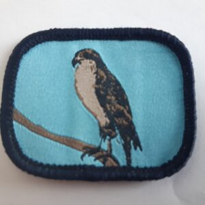 Badge faucon petit