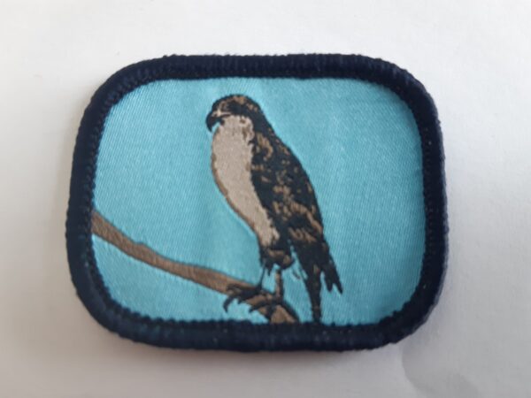 Badge faucon petit
