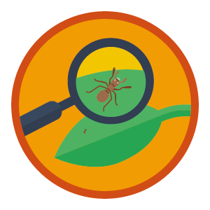 Badge de camp CURIEUX DÉTECTIVE