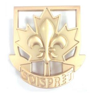 Épinglette Insigne de promesse OR