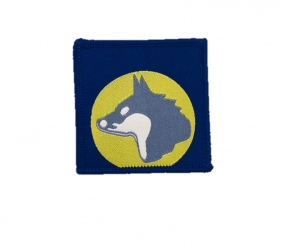 Piste de jungle- Loup gris