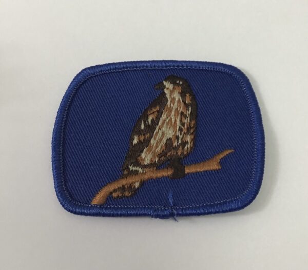 Badge FAUCON SUR BRANCHE gros