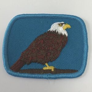 Badge AIGLE