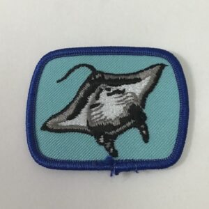 Badge RAIE