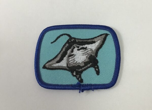 Badge RAIE