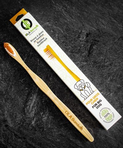 Brosse à dent pour gros chien OLA BAMBOO