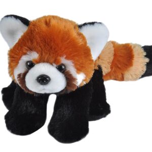 Toutou panda roux de Wild republic