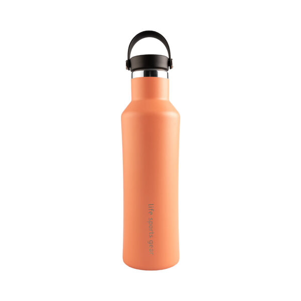Bouteille en acier inoxydable 530 ML