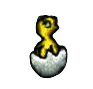 Badge Cycle - Éclosion